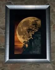Peter lik moonlit for sale  Bel Air