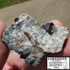 Lorenzite crystals aegirine for sale  Jackson