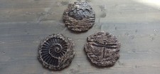 Trittsteine trittplatten tritt gebraucht kaufen  Hatten