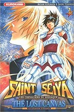 Livre saint seiya d'occasion Livre saint seiya d'occasion  Les Mureaux