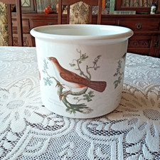 Portmeiron birds britain for sale Portmeiron birds britain for sale  SOUTHEND-ON-SEA