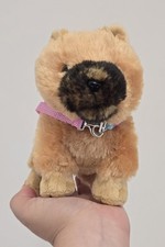 Generation chow chow for sale  HUDDERSFIELD