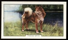 Tobacco card gallaher for sale Tobacco card gallaher for sale  ASHFORD