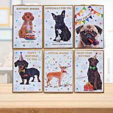Cute dogs puppies for sale  BIGGLESWADE