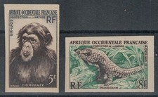 Africa occidentale francese usato  Palermo