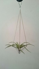 Stained glass hanging for sale  GREAT YARMOUTH