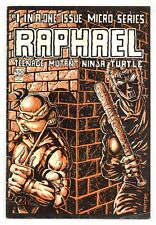 Raphael Teenage Mutant Ninja Turtles #1 Eastman 1ª impressão GD 2.0 1985, usado comprar usado  Enviando para Brazil