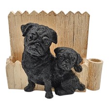 Black pug dog for sale  Morristown