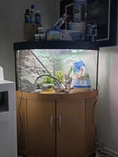 Juwel 190l fish for sale Juwel 190l fish for sale  NEWCASTLE