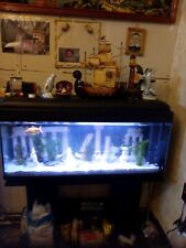 Aquarium meuble 120l d'occasion  Lambersart