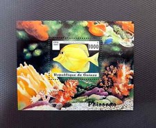 Guinea 1997 pesci usato  Spedire a Italy