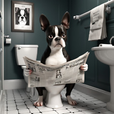 Boston terrier toilet for sale  DUNSTABLE