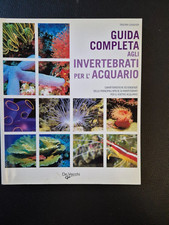 Guida completa agli usato  Roma