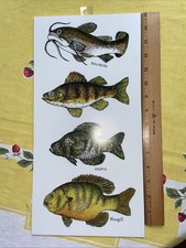 board picture for sale  Saint Johns