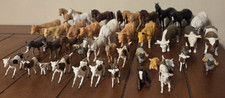 used farm animals for sale used farm animals for sale Winter Springs