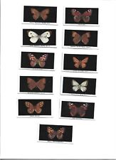 Abdulla british butterflies for sale  HITCHIN