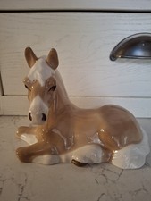 Szeiler palomino pony for sale  LINCOLN