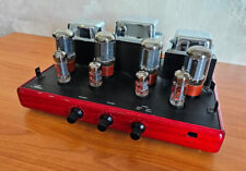 Syntjesis shine amplificatore usato  Italia