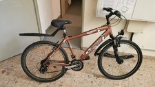 Flyke mtb jugendliche gebraucht kaufen  Bornheim
