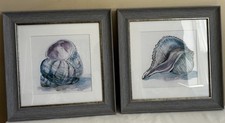 Watercolor seashell paintings for sale  Bristol