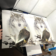 Eagle wolf matted for sale  Seattle