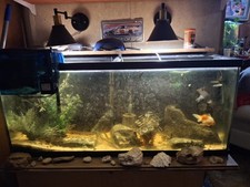 100 150 gal for sale  Cabool
