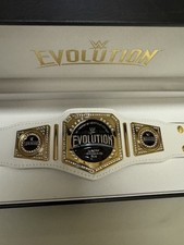 Wwe women evolution for sale  Franklin Square
