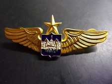 Aviation pilote senior d'occasion  Gray