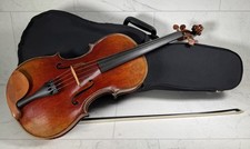 West coast sandro for sale  Gladstone