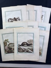 Buffon collection sheets d'occasion  Expédié en Belgium