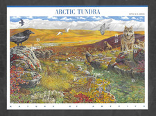 arctic animals for sale arctic animals for sale HIGH PEAK