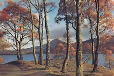 Shores loch rannoch for sale  WARWICK