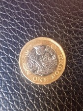 Moneta one pound usato  Casalnuovo di Napoli
