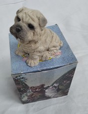 shar pei puppies for sale shar pei puppies for sale MALDON
