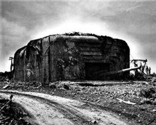 New war photo for sale  Defiance