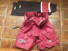 Phoenix coyotes vern for sale  Phoenix