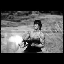 Photo .004252 sylvester d'occasion Photo .004252 sylvester d'occasion  Martinvast