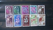 Spanisch tanger gebraucht kaufen  Wallenhorst