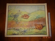 enid blyton nature plates for sale enid blyton nature plates for sale READING