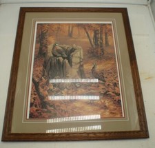 Nice pheasant grouse for sale  Madison