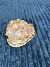 Rare large red d'occasion  Toulouse-