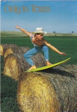 Surfing hay rolls for sale  Apple Valley