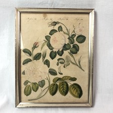 Riginal kolorierter kupferstic gebraucht kaufen Riginal kolorierter kupferstic gebraucht kaufen  Hamburg