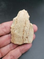 Upper paleolithic neolithic d'occasion  Bonneville