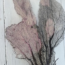 Natural white purple for sale  Port Orchard