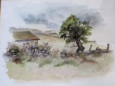 Vintage original watercolour for sale  RUARDEAN