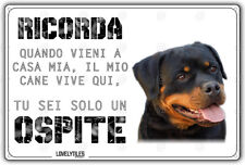 Cartello cane rottweiler usato  Vertemate con Minoprio