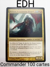 Mtg commander deck d'occasion  Rians