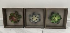 Set succulent shadow for sale  Ogden