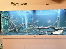 Komplett aquarium unterschrank gebraucht kaufen  Nürnberg